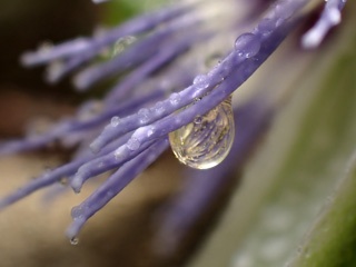 P1124713a.jpg